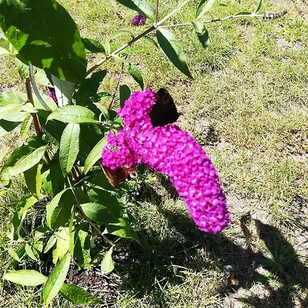 Wunderland Casa vacanze *